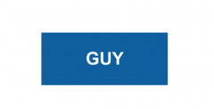 Free Guy Name tag